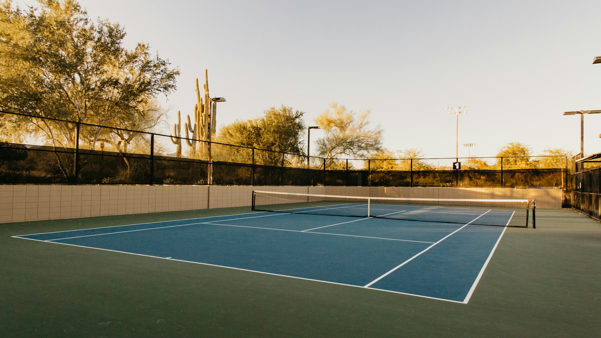 Sports ground / court