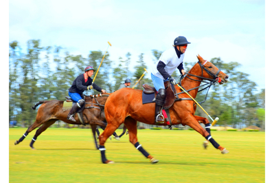 Hankoniemen ratsastuskoulun pieni kenttä